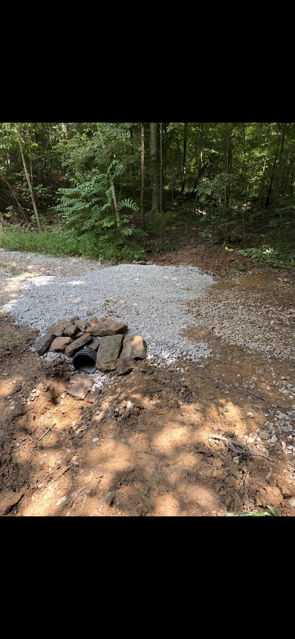 Gravel mound beside a dirt patch in a wooded area, with a few rocks in the foreground.