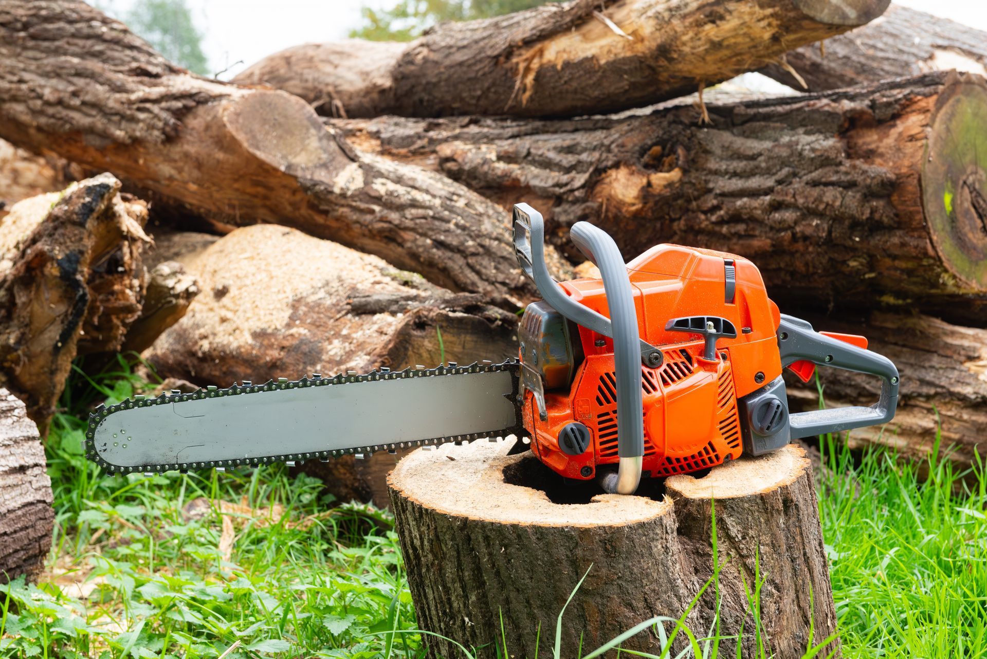 Orange chainsaw resting on a tree stump in a grassy area with cut logs in the background