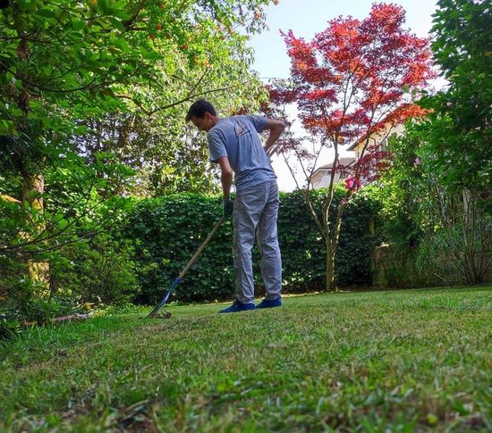 Persona che taglia l’erba in un giardino sul retro con un tosaerba a spinta, circondata da alberi verdi e fogliame rosso