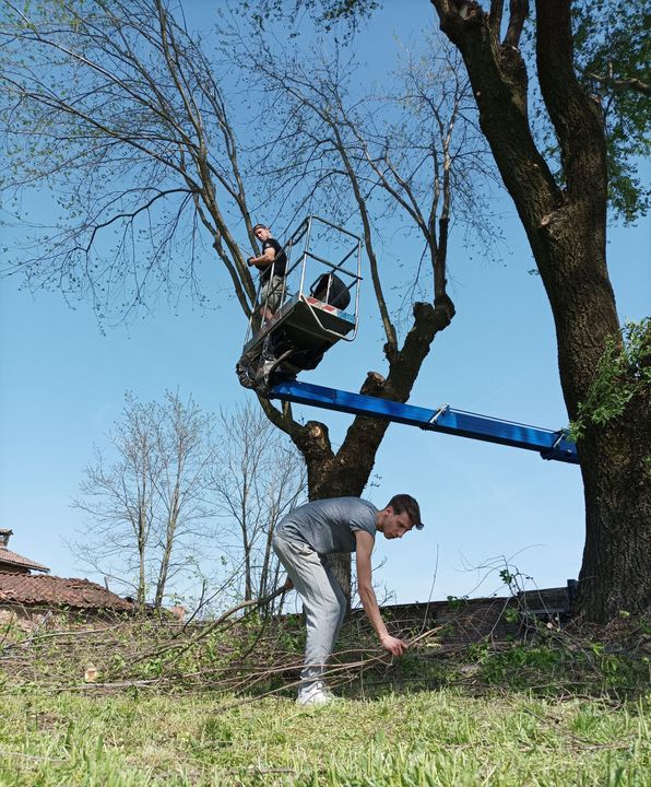 Una persona in equilibrio su una trave blu all’aperto tra gli alberi, mentre un’altra la aiuta da sotto.