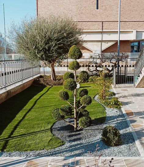 Piccolo cortile paesaggistico con un giovane albero, prato, arbusti e un sentiero in pietra accanto a un edificio