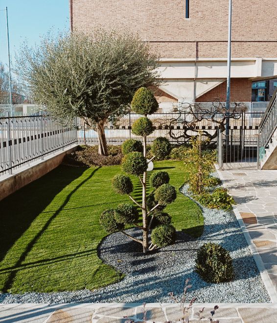 Piccolo cortile paesaggistico con un giovane albero, prato, arbusti e un sentiero in pietra accanto a un edificio