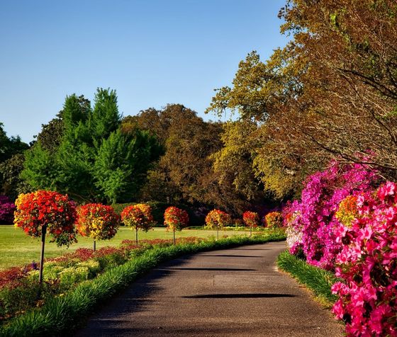 Sentiero curvo in giardino, costeggiato da fiori rosa acceso e arbusti variopinti, sotto un cielo azzurro terso