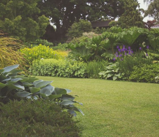 Rigoglioso giardino con prato verde, folti arbusti, alberi alti e fiori viola sullo sfondo