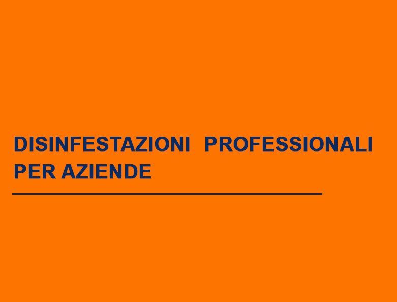 Scopri i diversi tipi di intervento per la disinfestazione aziendale.