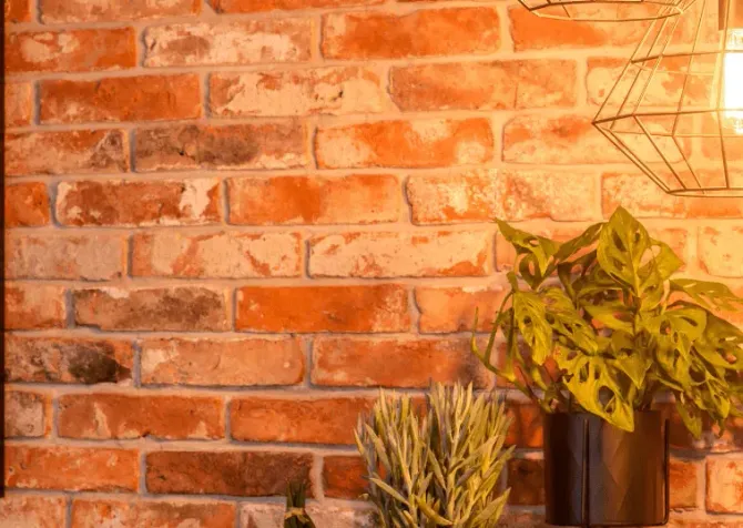 Red brick wall with potted plants and a wire geometric wall decoration