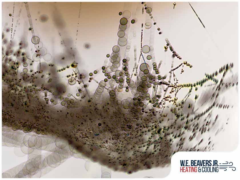 An advertisement for we beavers jr. heating and cooling