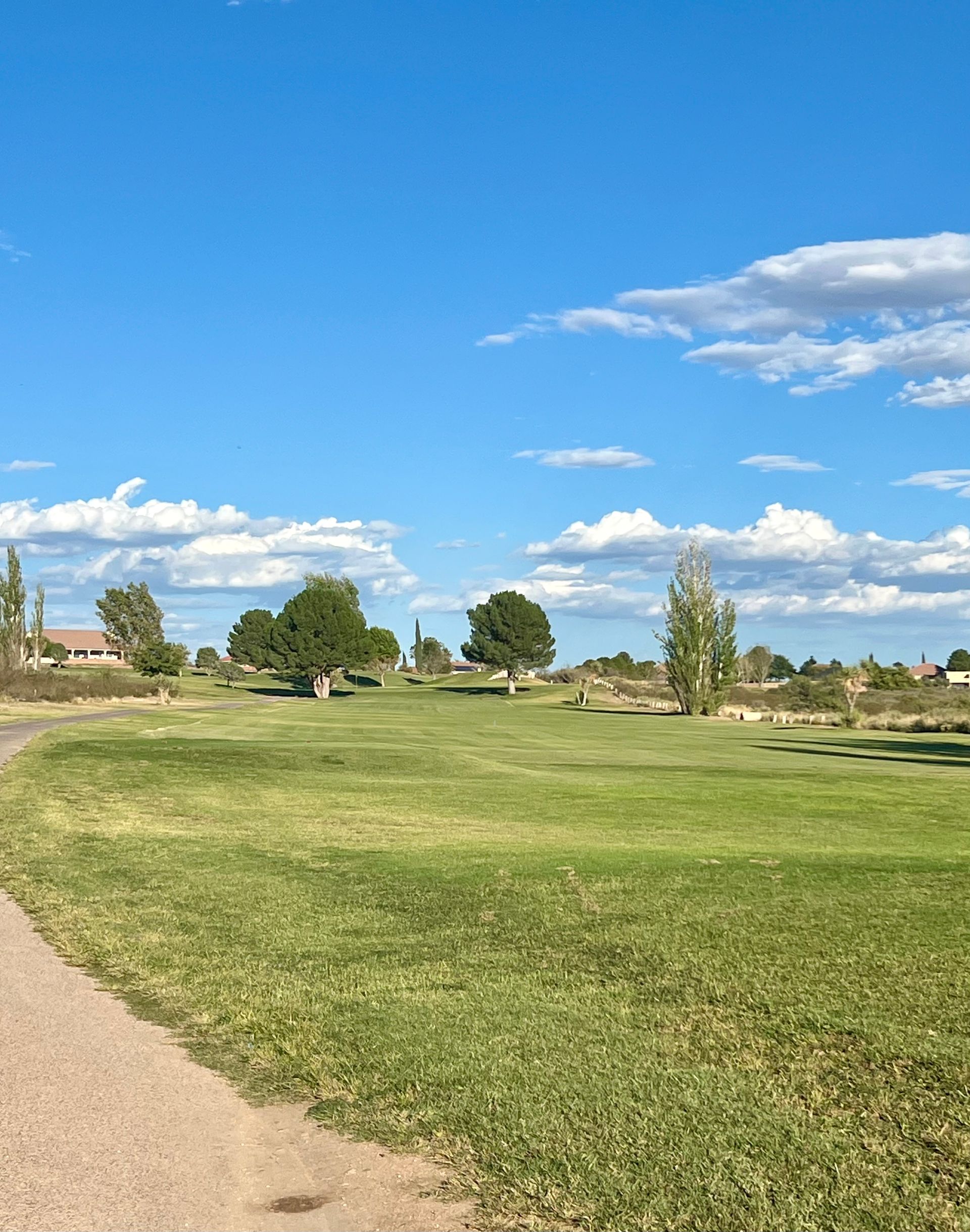 Green field with trees under a blue sky with clouds. A walking path is in the left foreground.