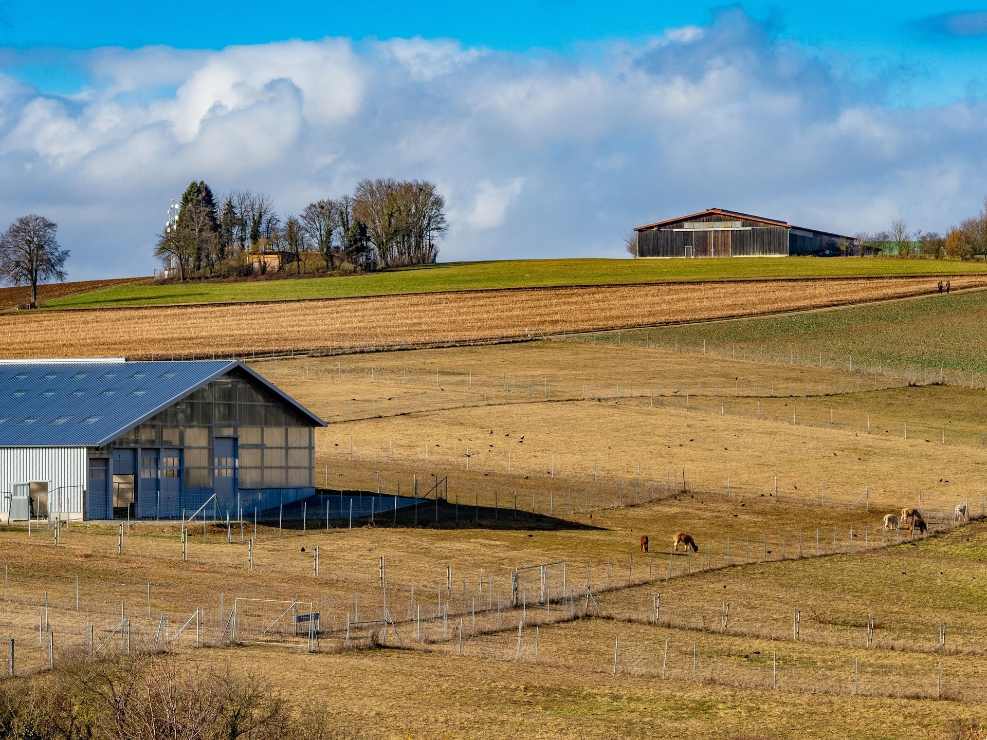 Rural hillside with a barn, fenced fields, and a house under a blue sky with clouds.