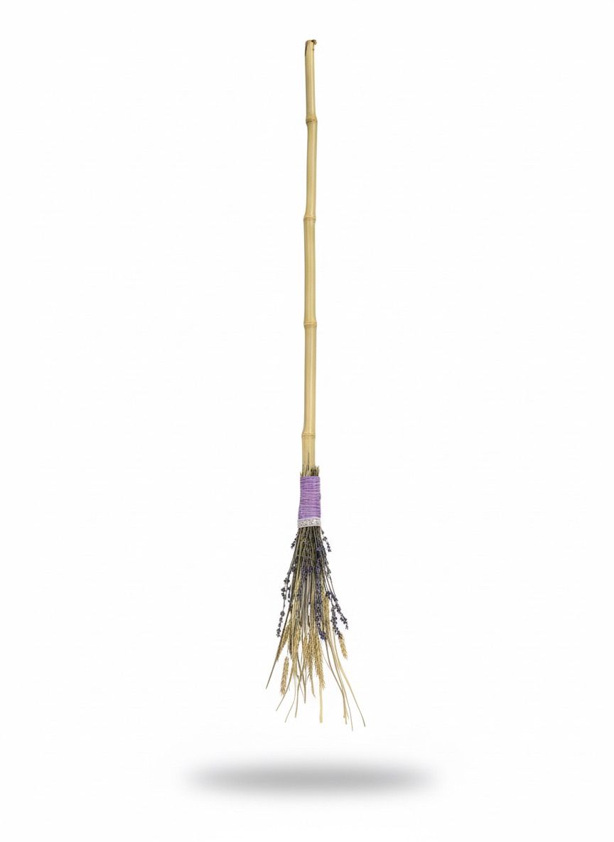 Large Broom 4
