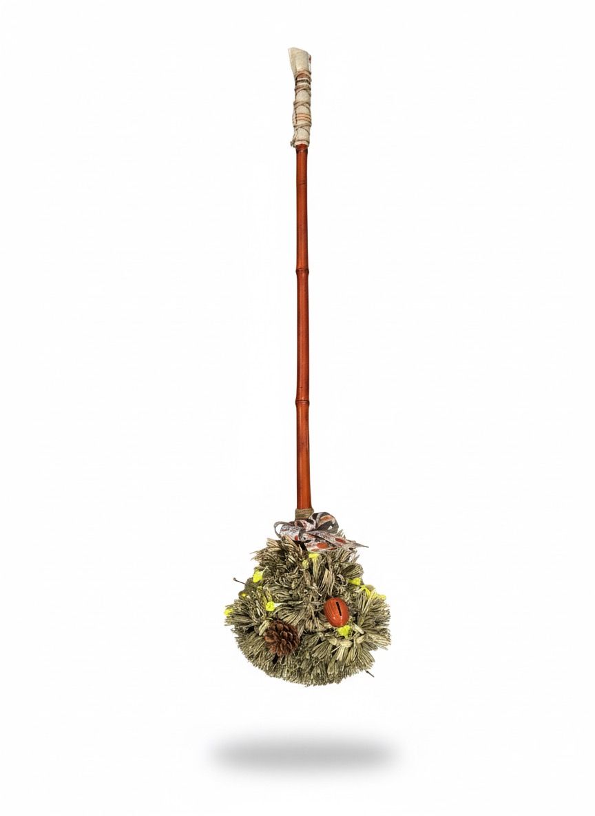 Broom with Lights 2