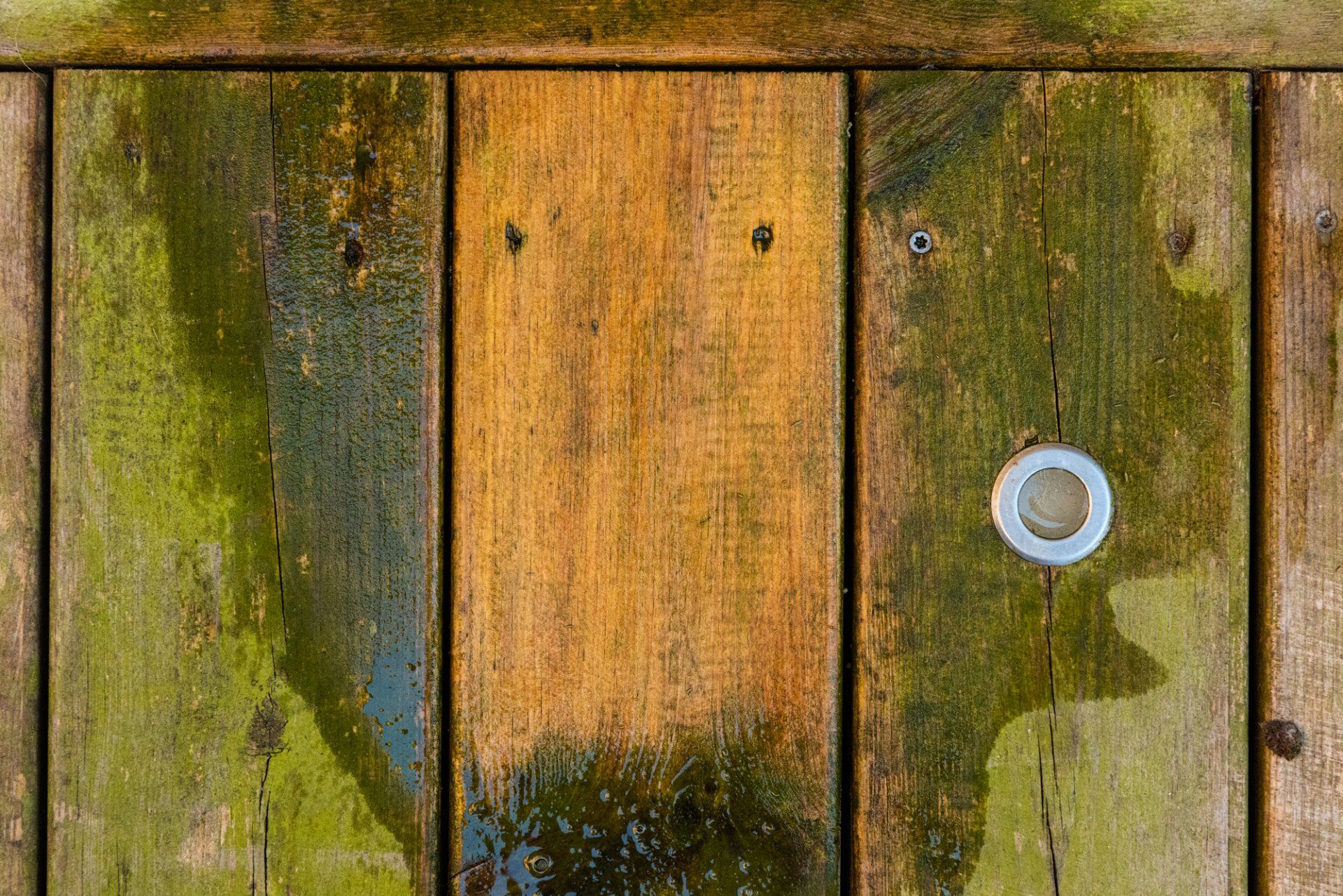 wooden deck with algae build up