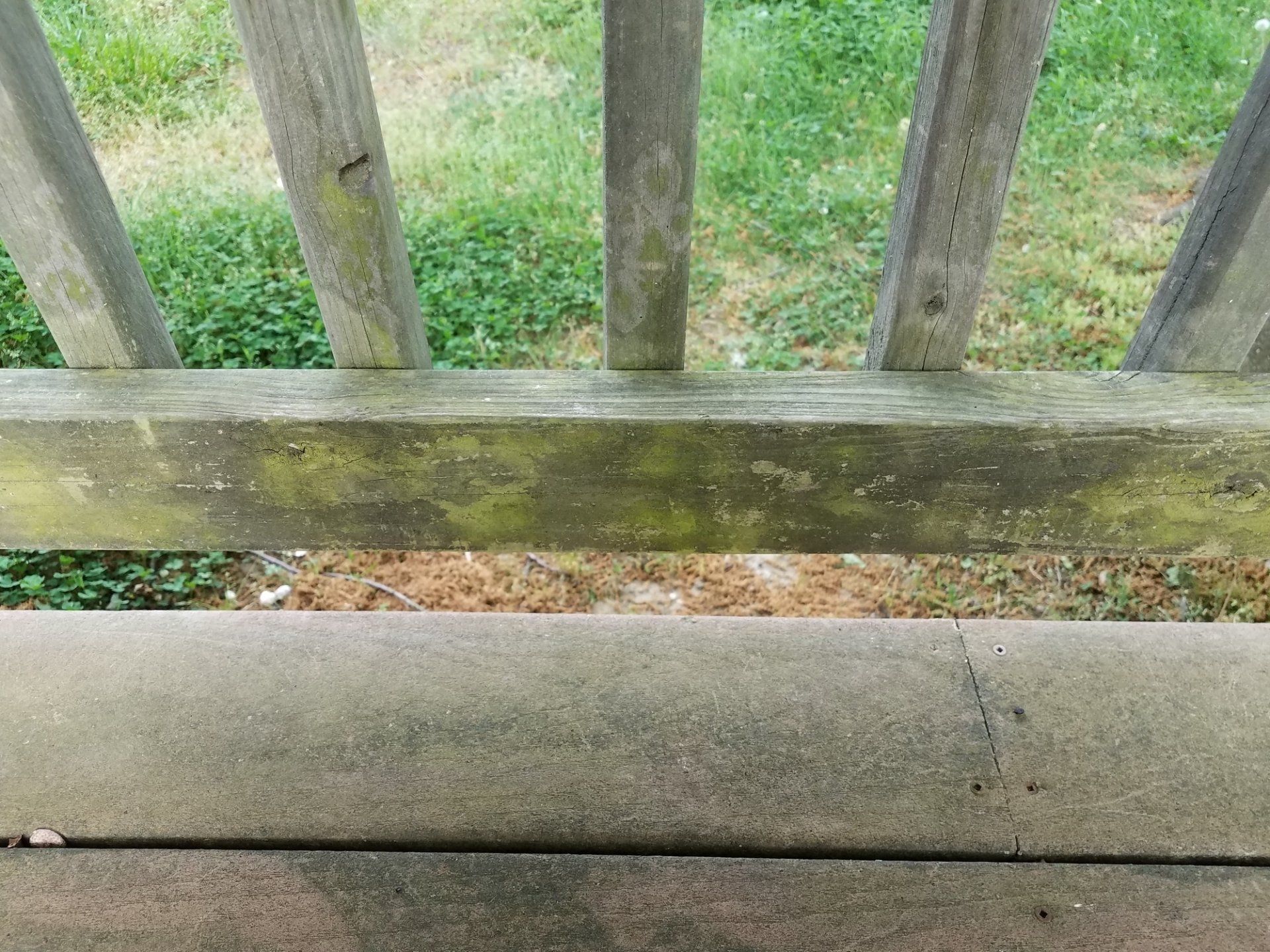 dirty old faded deck with algae on it that needs cleaning