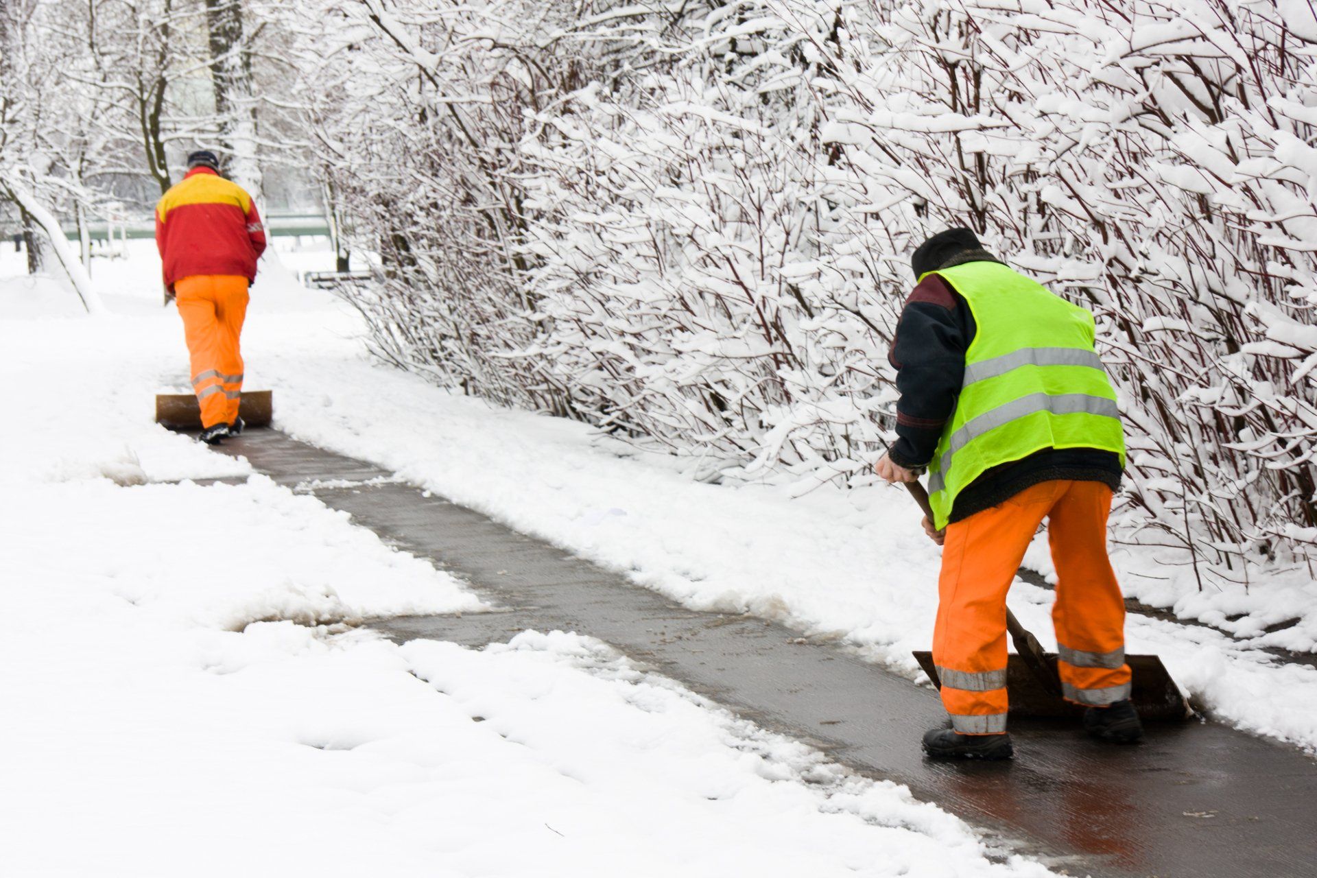 shoveling snow from residential driveway in NW Arkansas