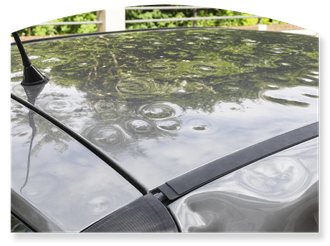Car windshield covered in tree pollen or residue, reflecting branches and sky.