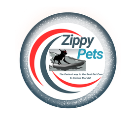 Neon-style logo with 