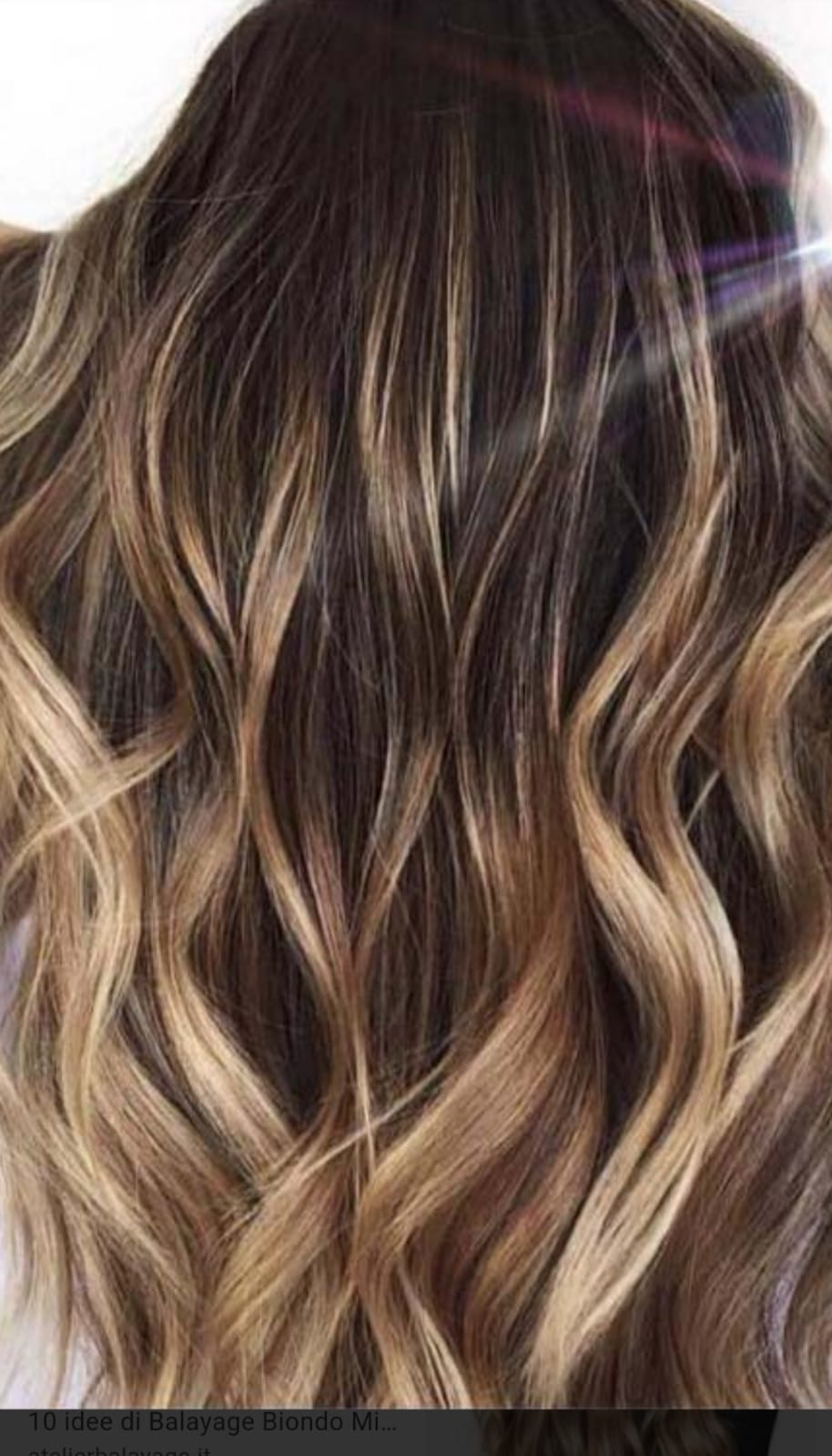 Specialisti in colore
