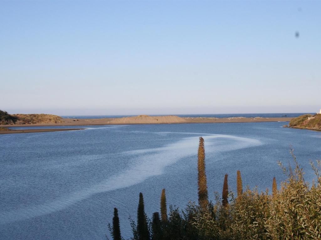 Calm blue water meets sandbar under a clear sky; plants in foreground.