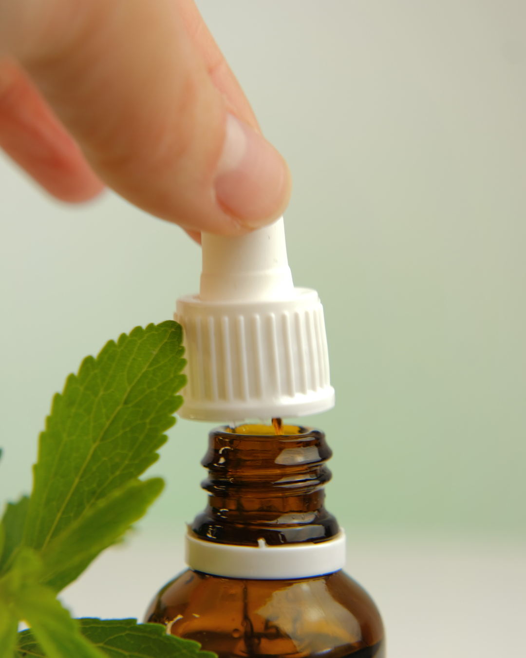 Stevioside – natuurlijk extract uit de steviaplant