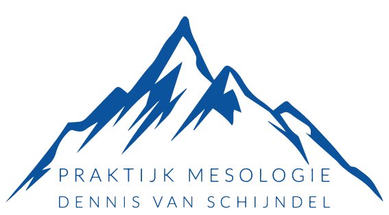 Praktijk Mesologie Dennis van Schijndel  logo
