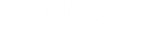 Old North State logo