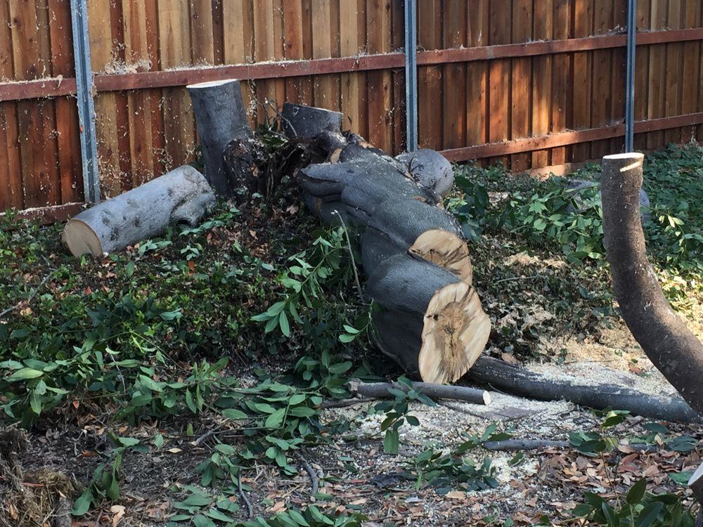 A tree stump is laying on the ground in front of a wooden fence.