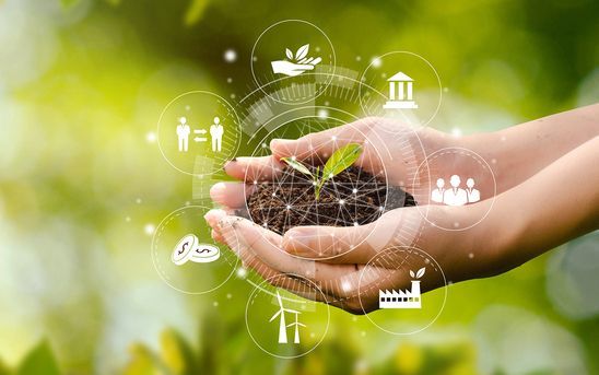 Hands Cupped, Holding Soil — Midcoast Financial Planning Group in Tuncurry, NSW