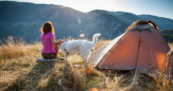 Woman and Dog Camping with Tent — Midcoast Financial Planning Group in Tuncurry, NSW