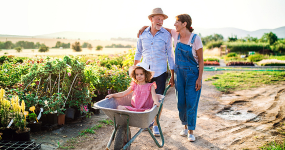 Family Pushing Child In A Wheelbarrow — Midcoast Financial Planning Group in Tuncurry, NSW