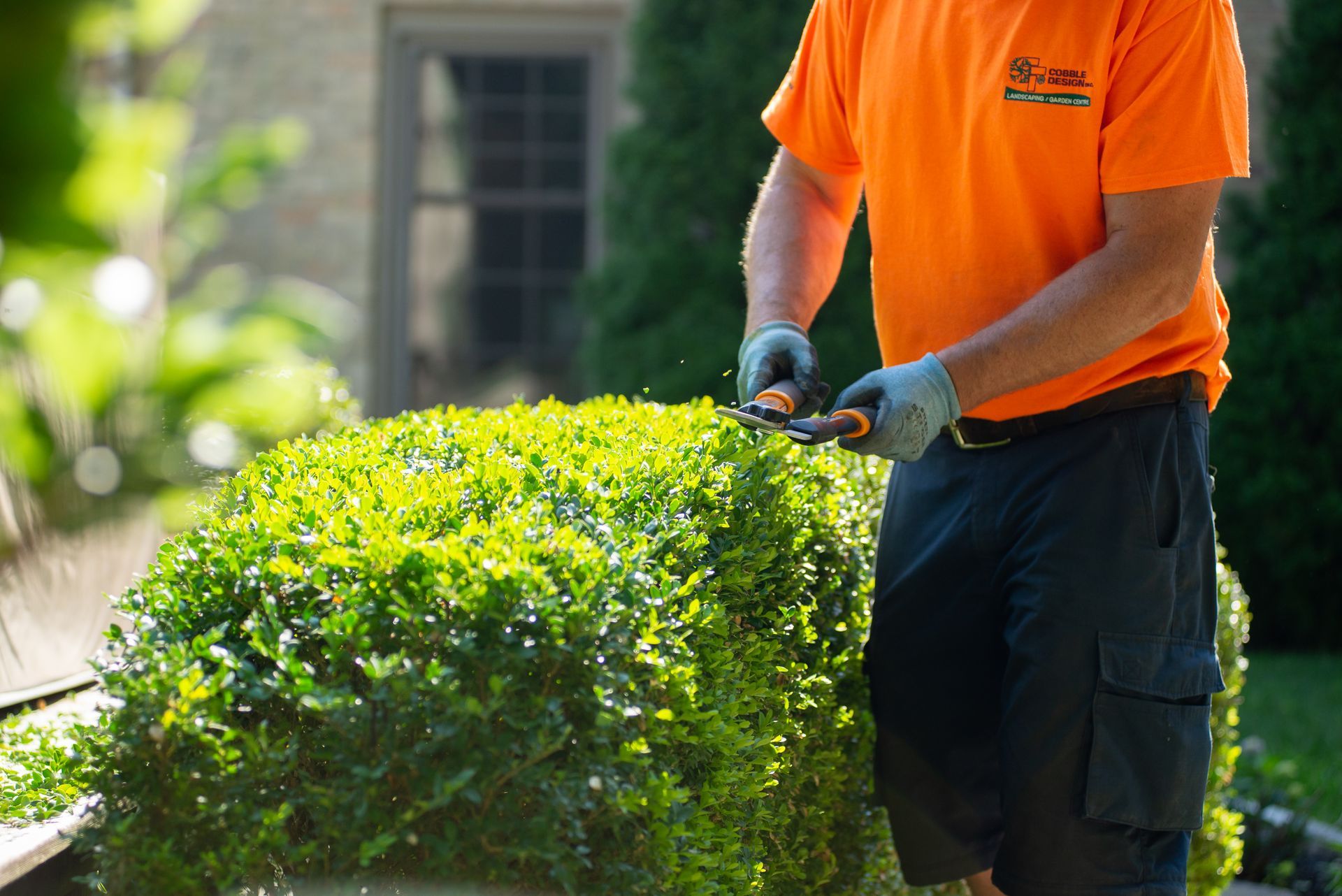Website design for landscaping companies and landscape contractors