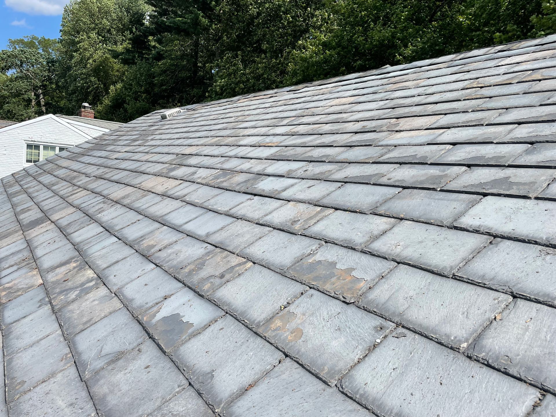 Reliable roof soft wash service