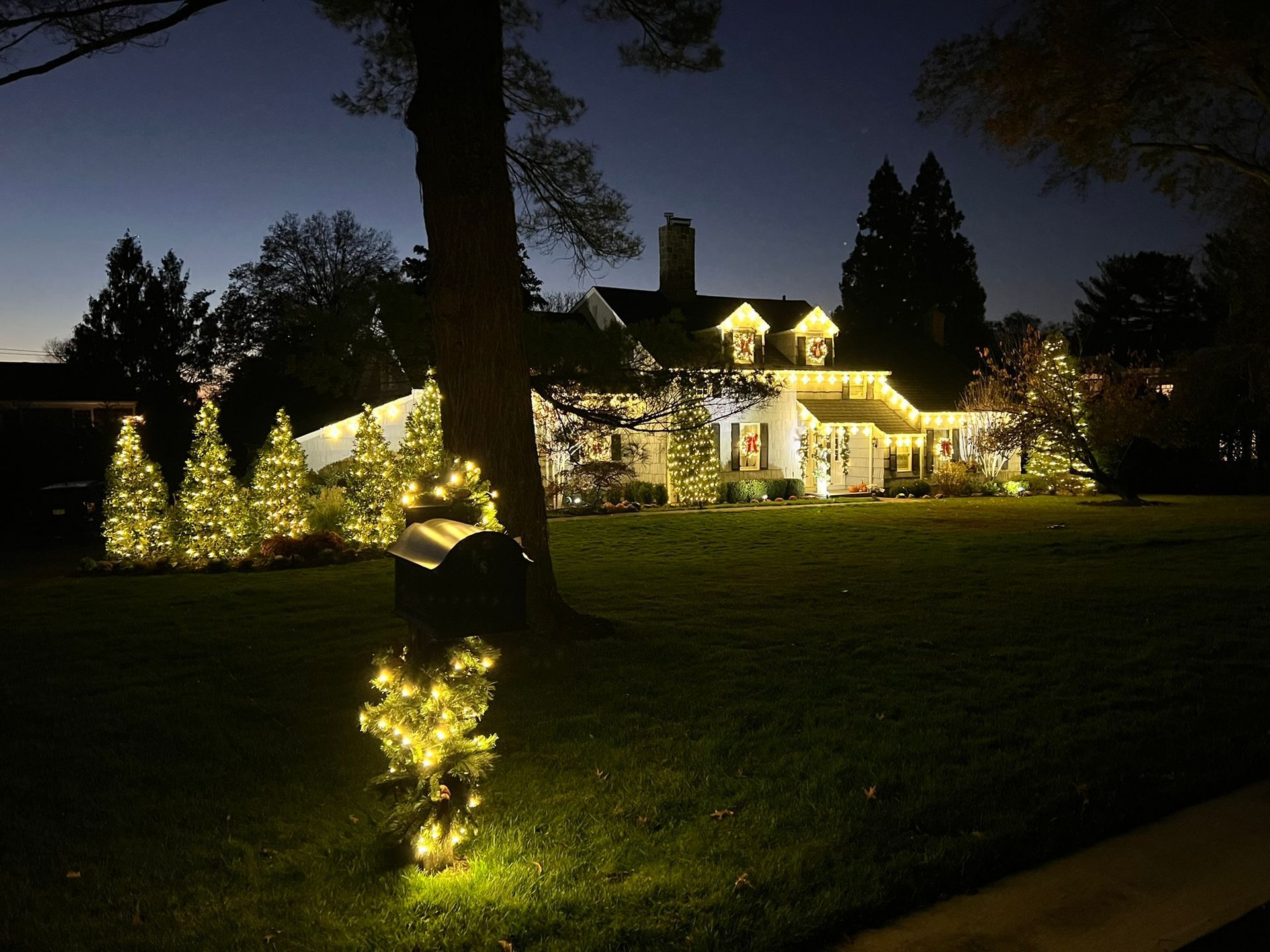 Holiday lighting display on house, trees, and bushes