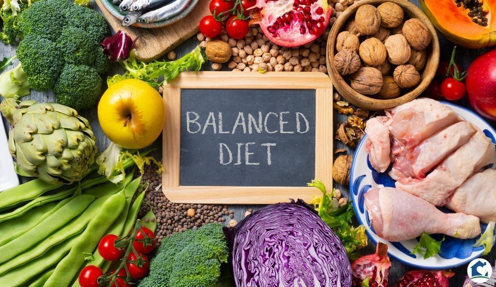 The Importance of a Balanced Diet for Seniors