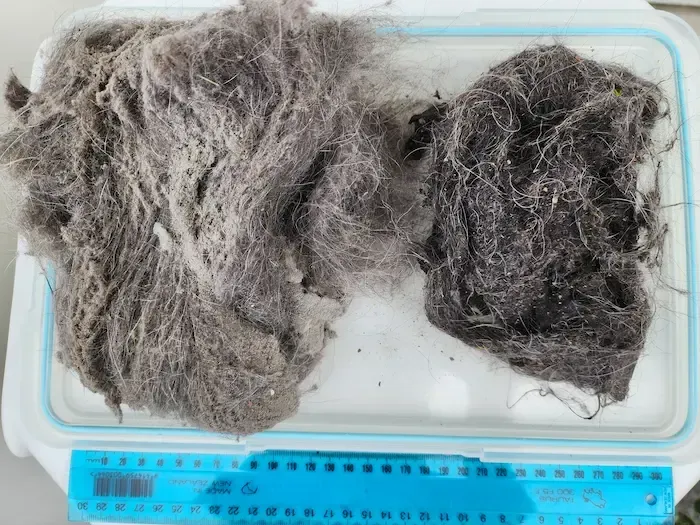 Two balls of dust are sitting on top of a white container.