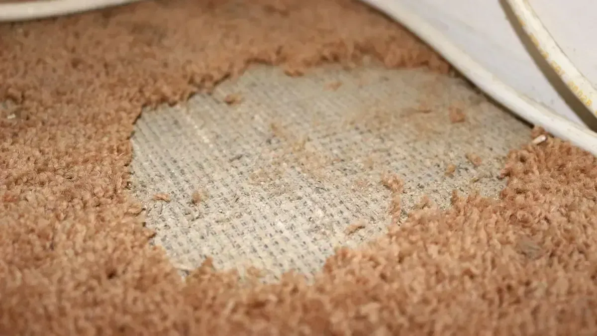 A large hole in brown carpet reveals the underlying mesh backing and floorboards.