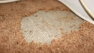 A tan carpet with a large patch of missing fibers, exposing the underlying white backing.