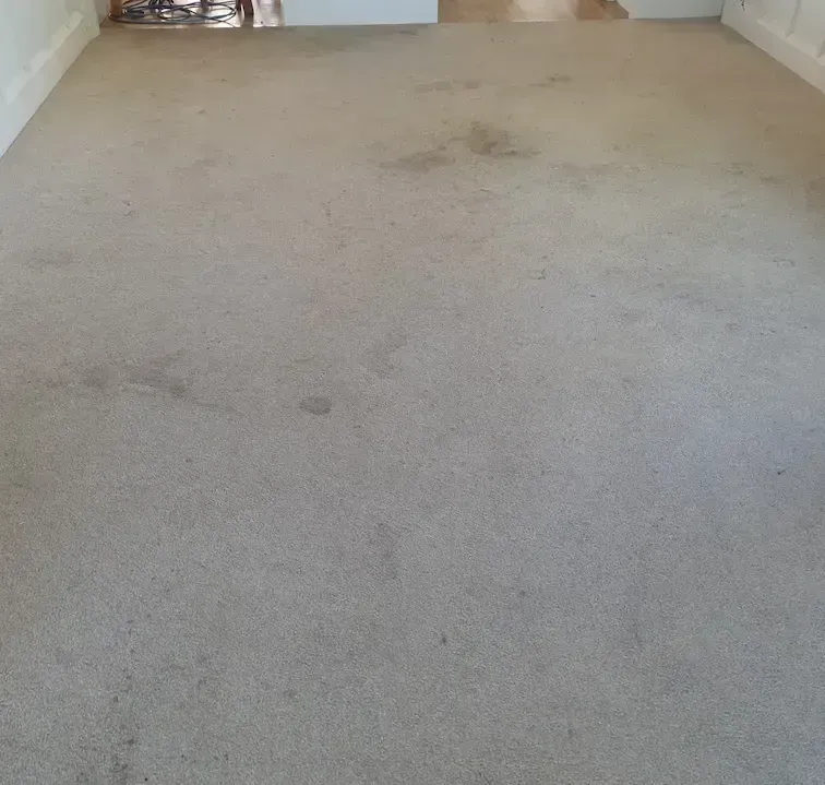 Beige carpet with stains and worn patches.