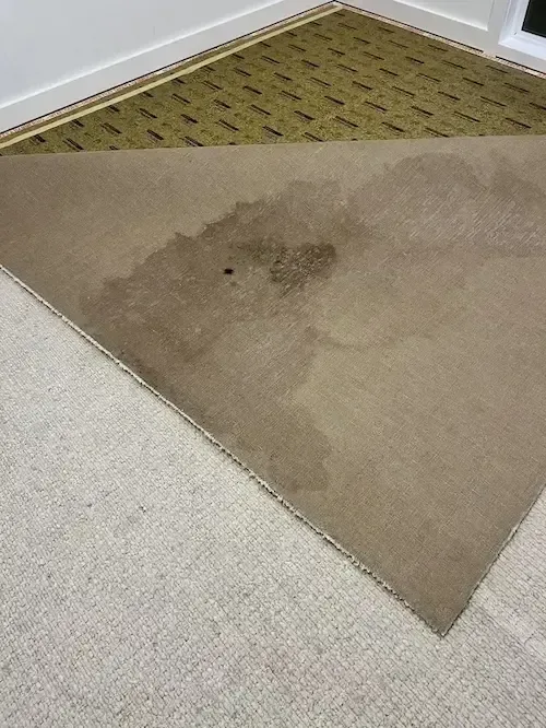 A dirty carpet in a room with a stain on it.
