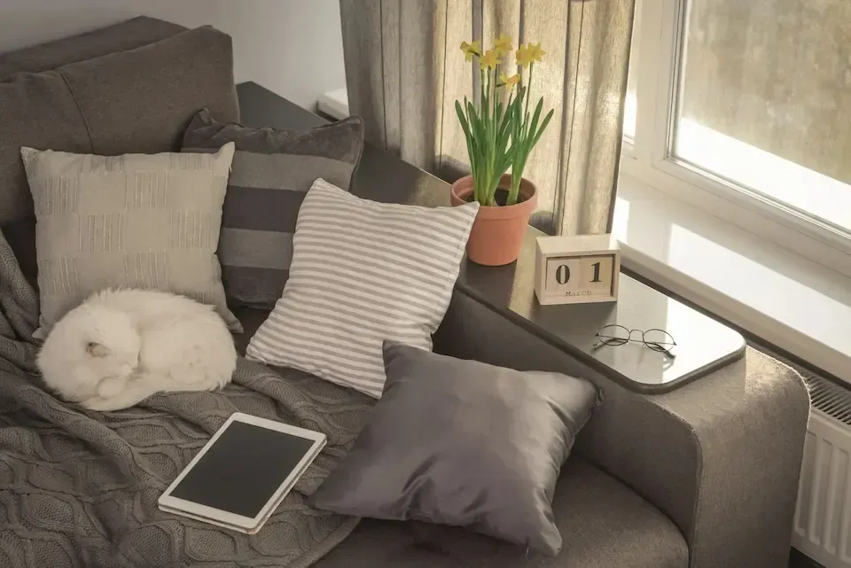 Cozy gray couch by a window with a sleeping white cat, tablet, pillows, and a vase of yellow flowers.