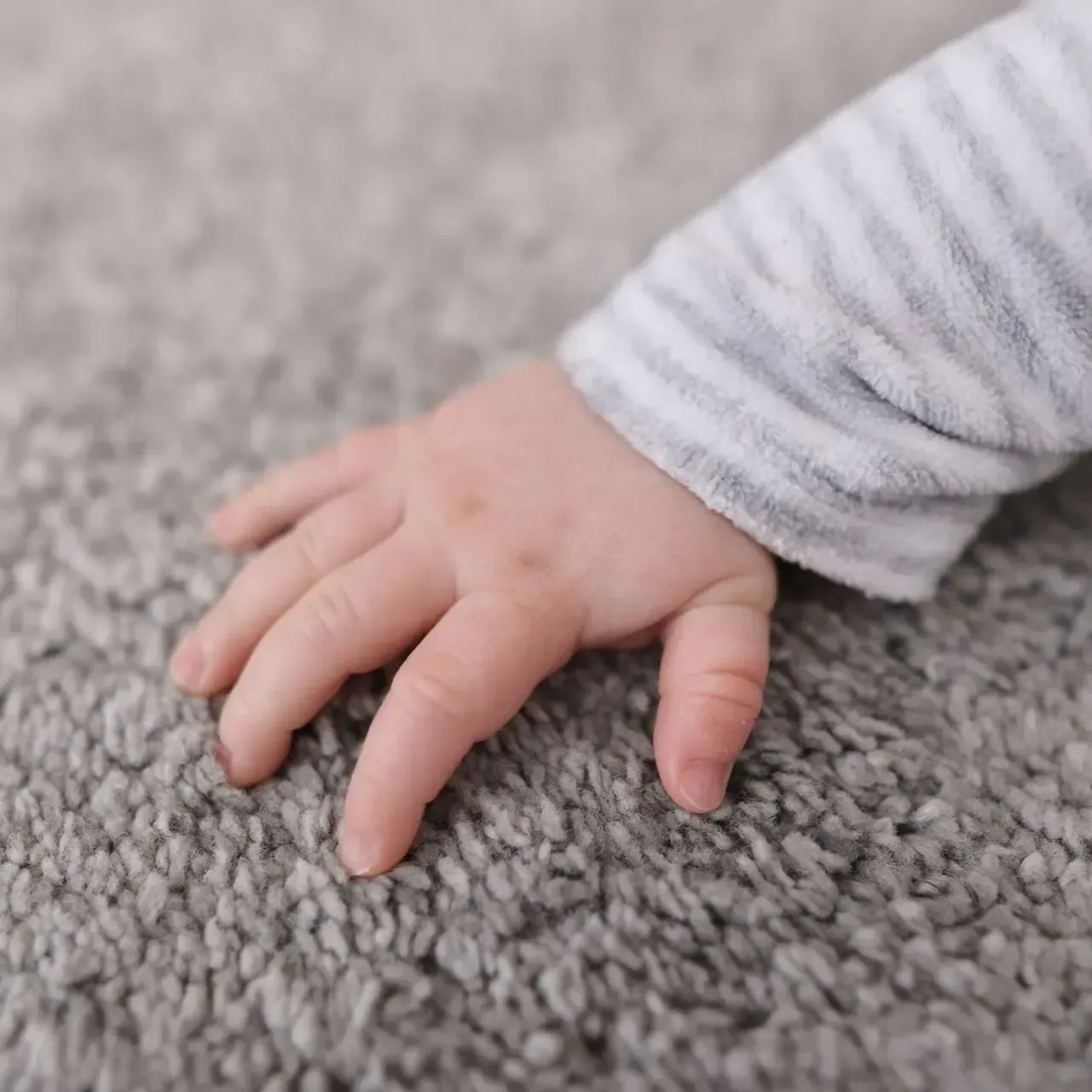 A vacuum cleaner is cleaning a carpet with steam coming out of it.