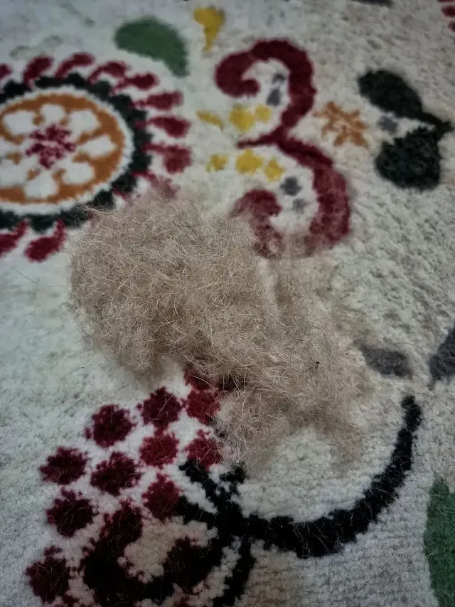 A close up of a rug with a lot of hair on it.