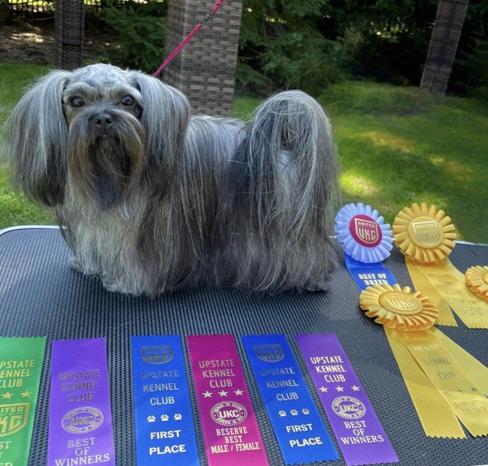 UKC CH Rare Gem Zara Lee