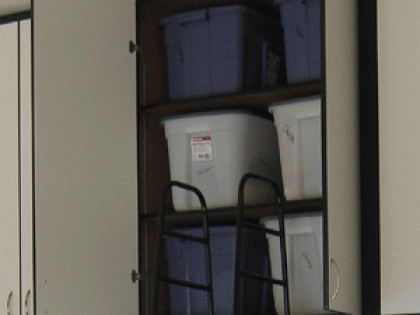 A closet filled with blue and white bins and a ladder.
