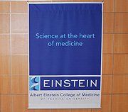 Albert Einstein College of Medicine logo