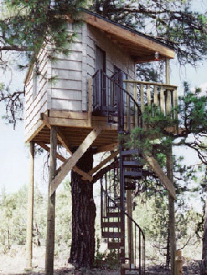 A tree house with a spiral staircase leading up to it