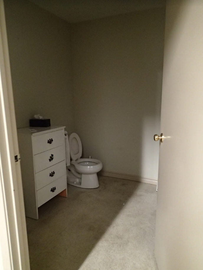 Small, poorly lit bathroom with a white toilet and dresser. Open door reveals the space.