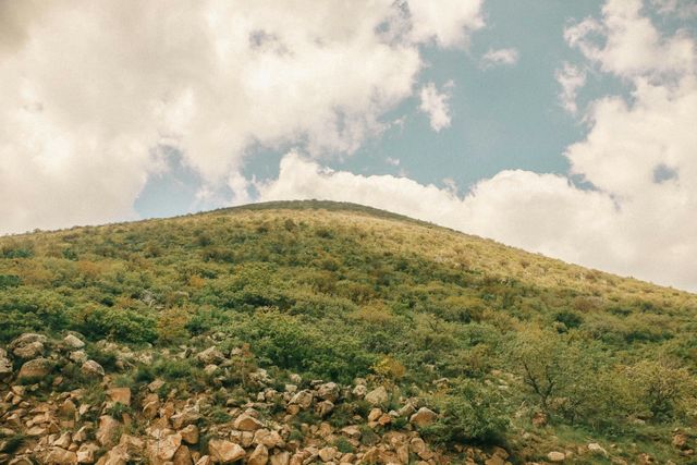A hill covered in trees and rocks with a cloudy sky in the background.