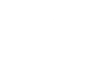 Blank white screen with a thin black horizontal line near the bottom