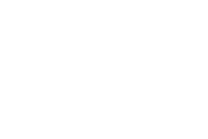 Blank white screen with a thin black strip along the bottom edge