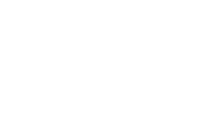 Blank white image with no visible content